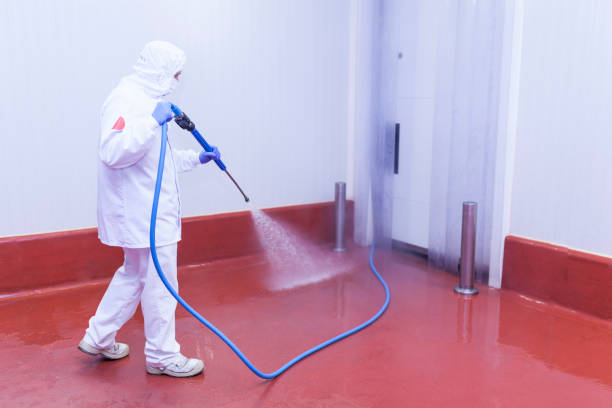 Best Building Exterior Pressure Washing in Rden City, GA